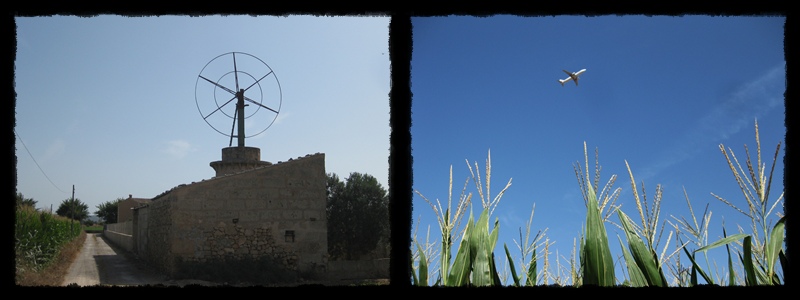 F005.jpg